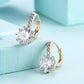 Starburst  Elements Pav'e Leverback Earrings